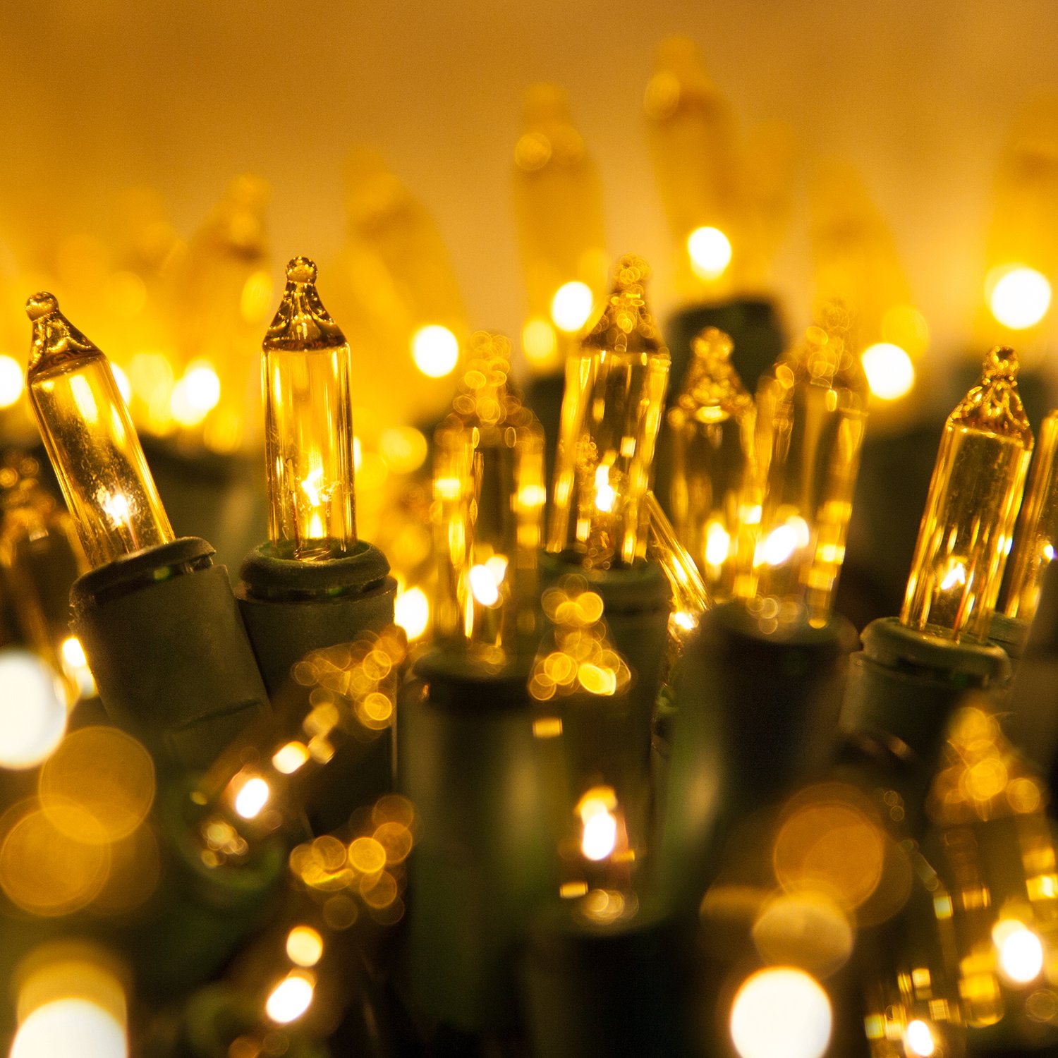 Warm White Mini String Lights - 50 LED Christmas Lights for Indoor & Outdoor Tree Decor