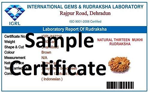 13 Mukhi Nepali Rudraksha Silver Pendant Necklace - 18mm Divine Divya Shakti Thirteen Face Bead for Men & Women - Spiritual Protection, Meditation & Yoga Jewelry