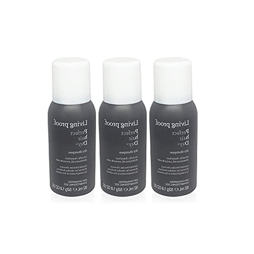 Lim-Style Perfect Hair Day Dry Shampoo 1.8 Oz (3 Pack) - Volumizing & Oil Absorbing for All Hair Types - Quick Refresh for Busy Mornings, Gym Sessions & Travel