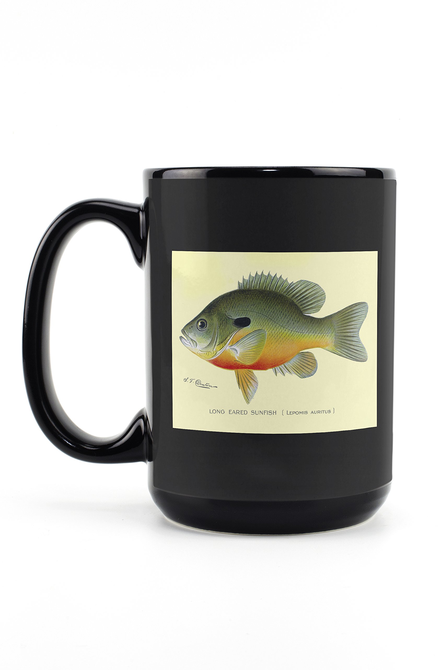 Lantern Press Long Eared Sunfish Denton Fish Print - 15oz Black Ceramic Coffee & Tea Mug - Dishwasher & Microwave Safe - Perfect for Home, Office & Camping