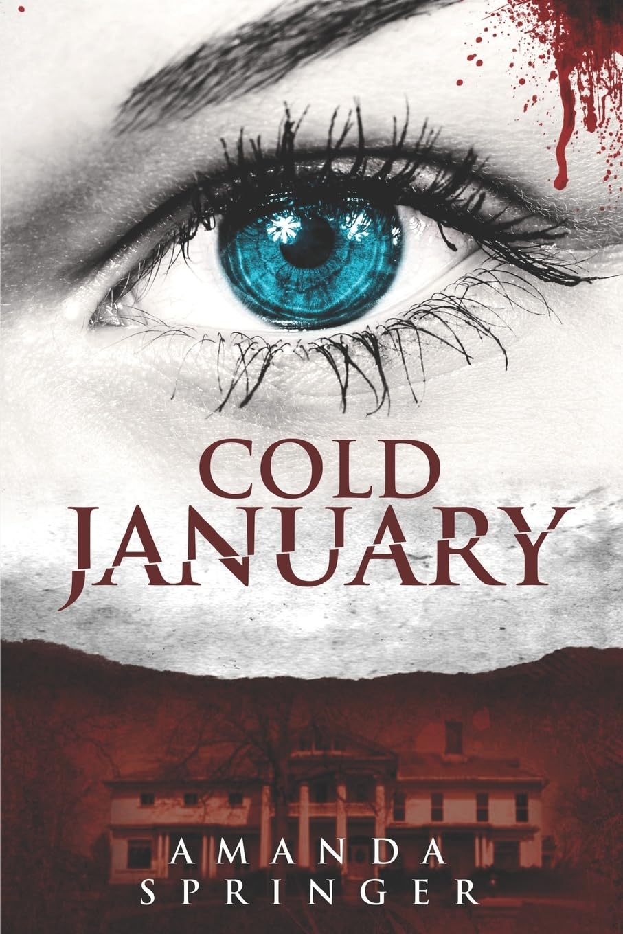 Cold January (Red Dirt Stories) - Southern Fiction Novel for Book Clubs & Winter Reading