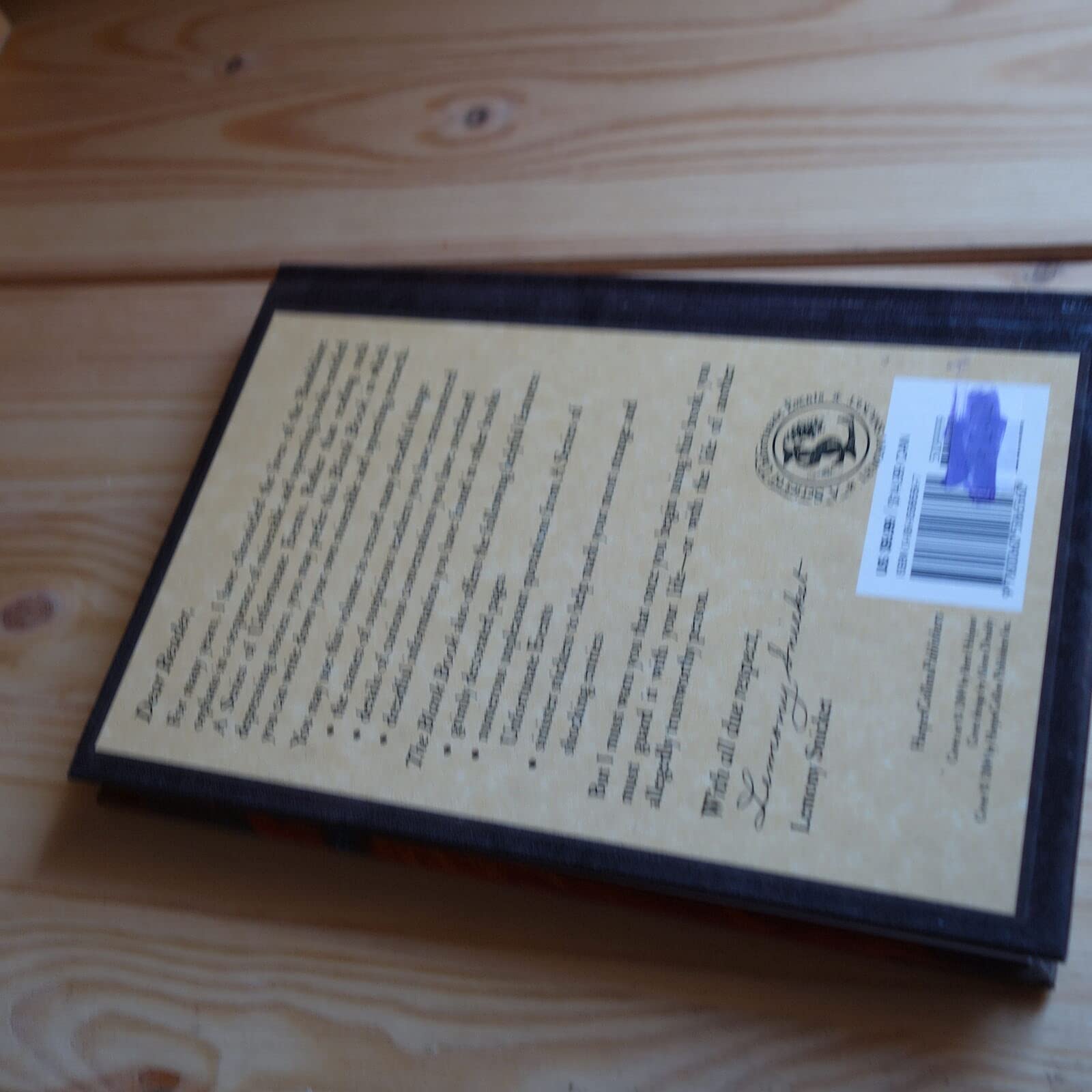 The Blank Book - A Series of Unfortunate Events Inspired Journal for Writing & Sketching | Perfect for Fans, Creative Writing & Note Taking