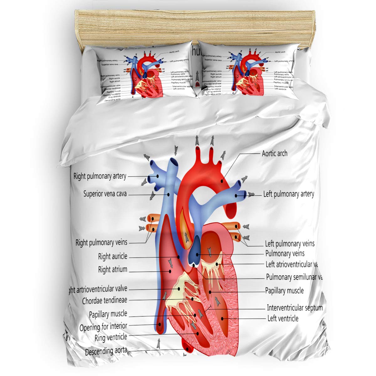 Yogaly 4-Piece Duvet Cover Set Queen Size - Ultra-Soft Human Heart Anatomy Print Bedding with Zipper Closure for Adults, Teens & Kids | Perfect for Science Lovers, Medical Students & Unique Home Decor