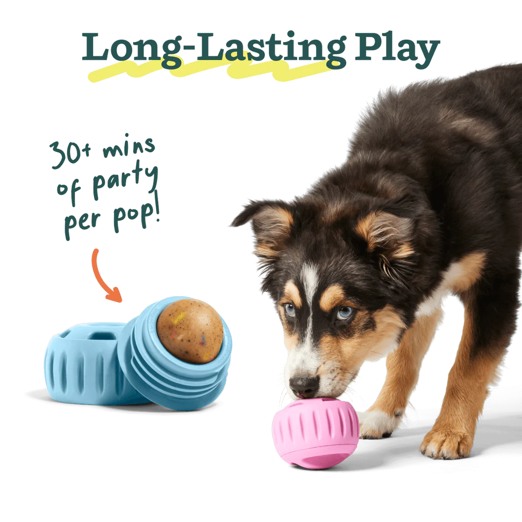 Goat Milk & Sprinkles Dog Birthday Pops | Healthy Pup Treats for Training, Rewards & Special Occasions | The Pupsicle Dog Treats for Puppies & Adult Dogs