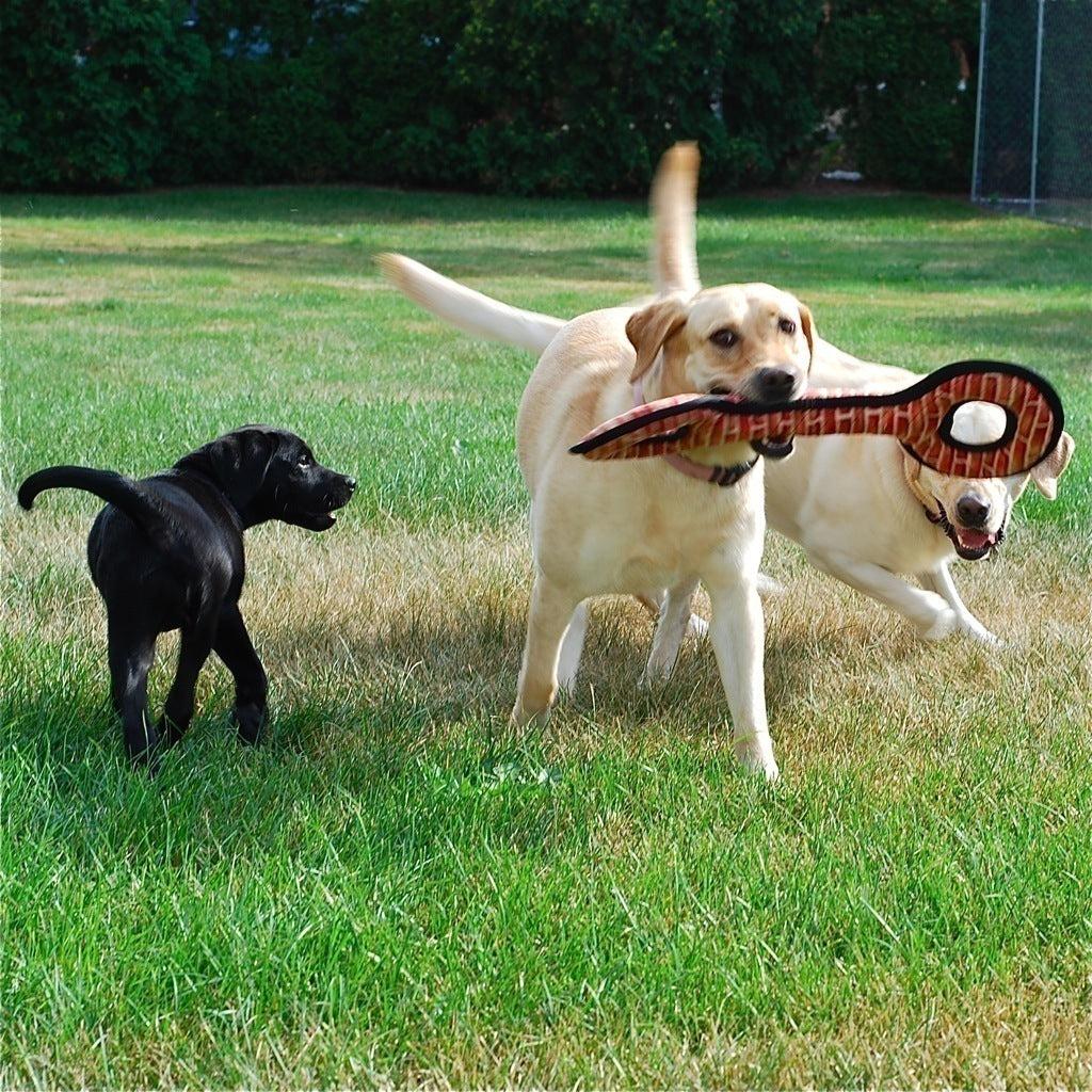 Tuffy Mega Tugowar - Durable Dog Tug Toy for Aggressive Chewers - Interactive Play & Training for Large Dogs - Perfect for Fetch, Tug-of-War & Outdoor Activities