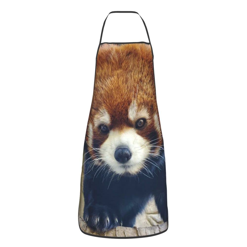 Waterproof Apron for Women - Chef & Kitchen Cooking Apron with Pockets - Ideal for Cooking, Baking, Grilling & BBQ - Durable & Stylish Apron for Home & Professional Use