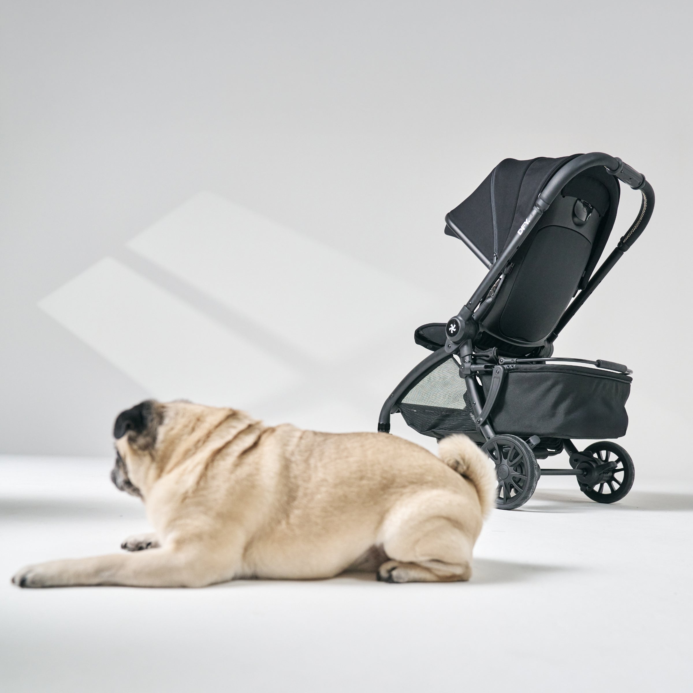 DFY R1 Stroller Pet Basket - Lightweight & Durable Pet Carrier for Dogs & Cats - Perfect for Walking, Jogging, and Outdoor Adventures