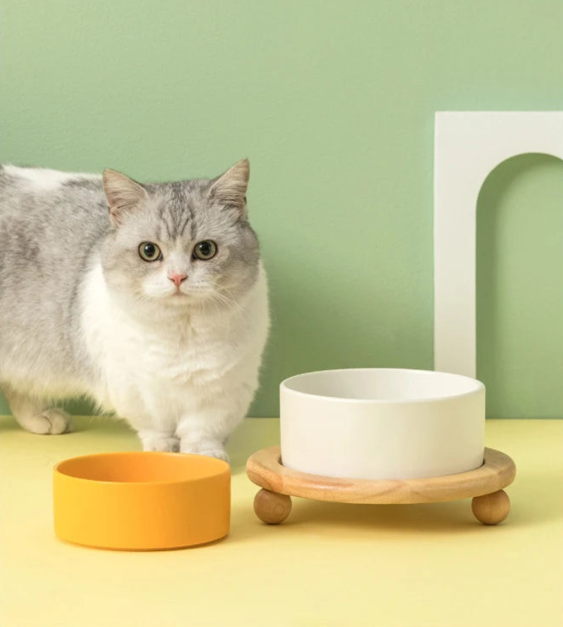 Premium Whisker Wood Pet Feeding Bowl for Cats & Dogs - Eco-Friendly, Non-Slip, Durable Raised Dog & Cat Food Dish - Perfect for Home, Travel, and Outdoor Use
