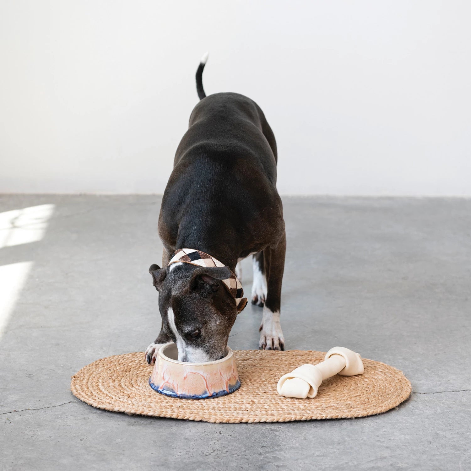 Premium Glazed Stone Pet Bowl - Durable, Non-Slip Dog & Cat Food Dish for Indoor/Outdoor Use - Perfect for Mealtime, Water, or Treats