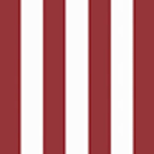 Ruby Red Cabana Stripe