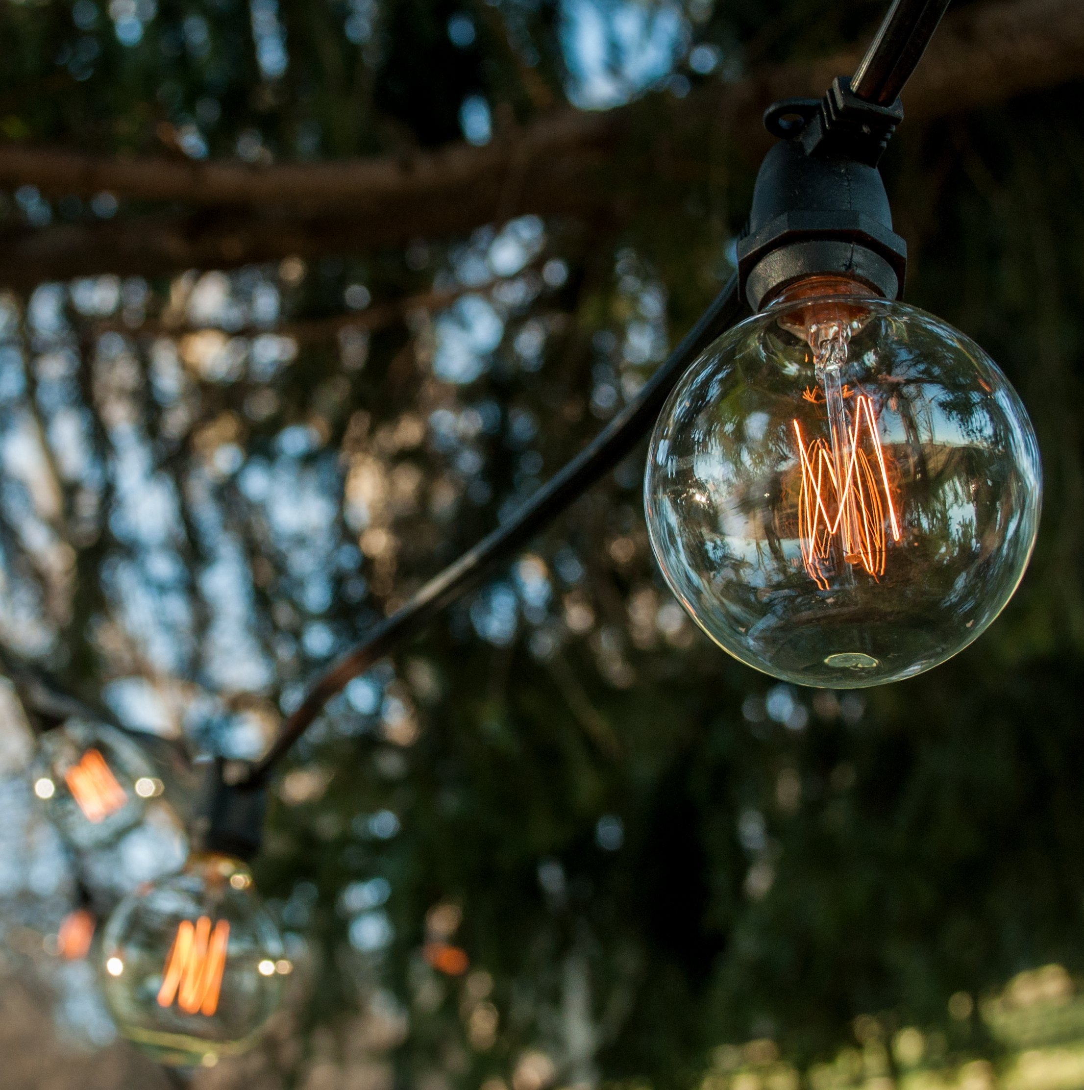 Commercial Edison Bulb Outdoor String Lights - 50 ft Black Wire with Hand-Threaded Filament (G60 Lantern Style) - Perfect for Patio, Garden, Wedding & Restaurant Decoration