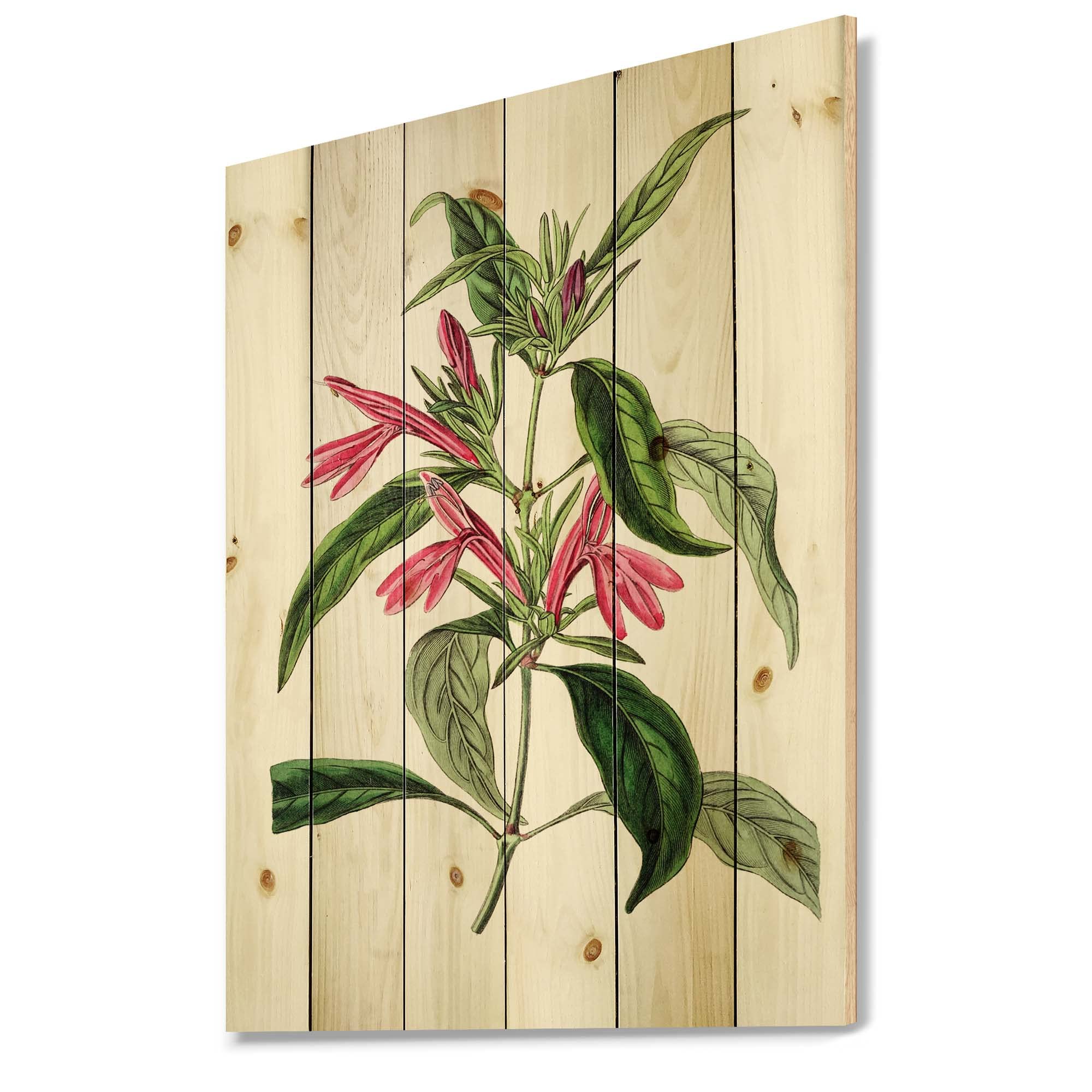 Vintage American Flora VII Traditional Wood Wall Decor - Pink Floral Wood Wall Art - Large Printed Pine Wood Panels for Home, Living Room, Bedroom & Office Decor