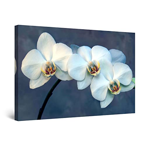 White Blue Flower