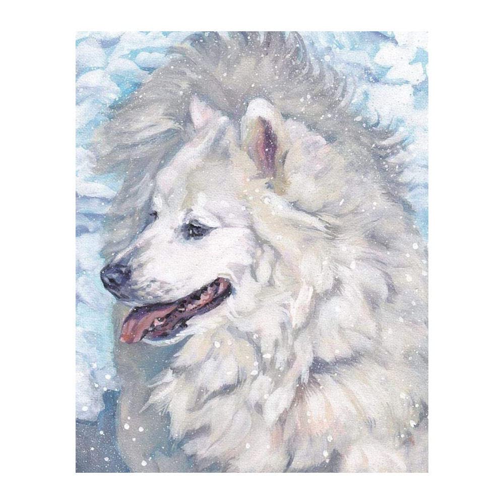 DIY Oil Painting by Numbers Kit - American Eskimo Dog Digital Art with Brushes & Frame - Perfect for Beginners, Wall Decor, Home Gifts & Relaxation (16x20 Inch Canvas)