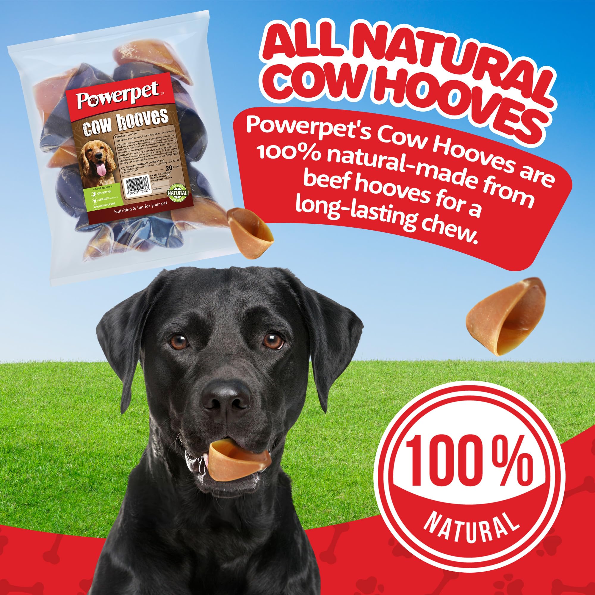PowerPet 100% Natural Cow Hooves for Dogs - Long-Lasting Dental Chews for All Breeds, Tartar Control & Boredom Relief, Large Size Hoof Chew Treats (20 Pack) - Perfect for Aggressive Chewers, Teething Puppies & Dental Health Maintenance