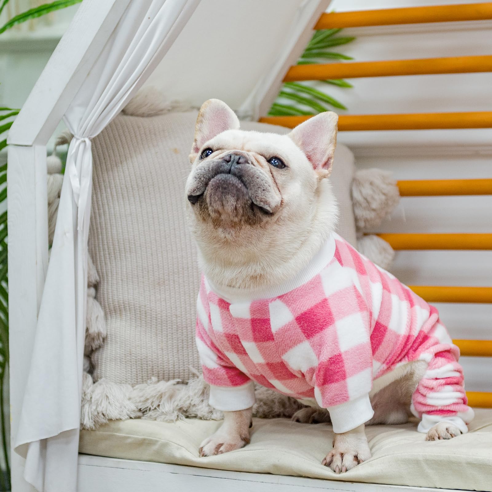 SCENEREAL Soft & Warm Dog Pajamas for Small to Large Dogs - Cozy Pet Sweater Onesie Outfits for Winter & Christmas - Perfect for Indoor Sleeping, Lounging & Holiday Photos