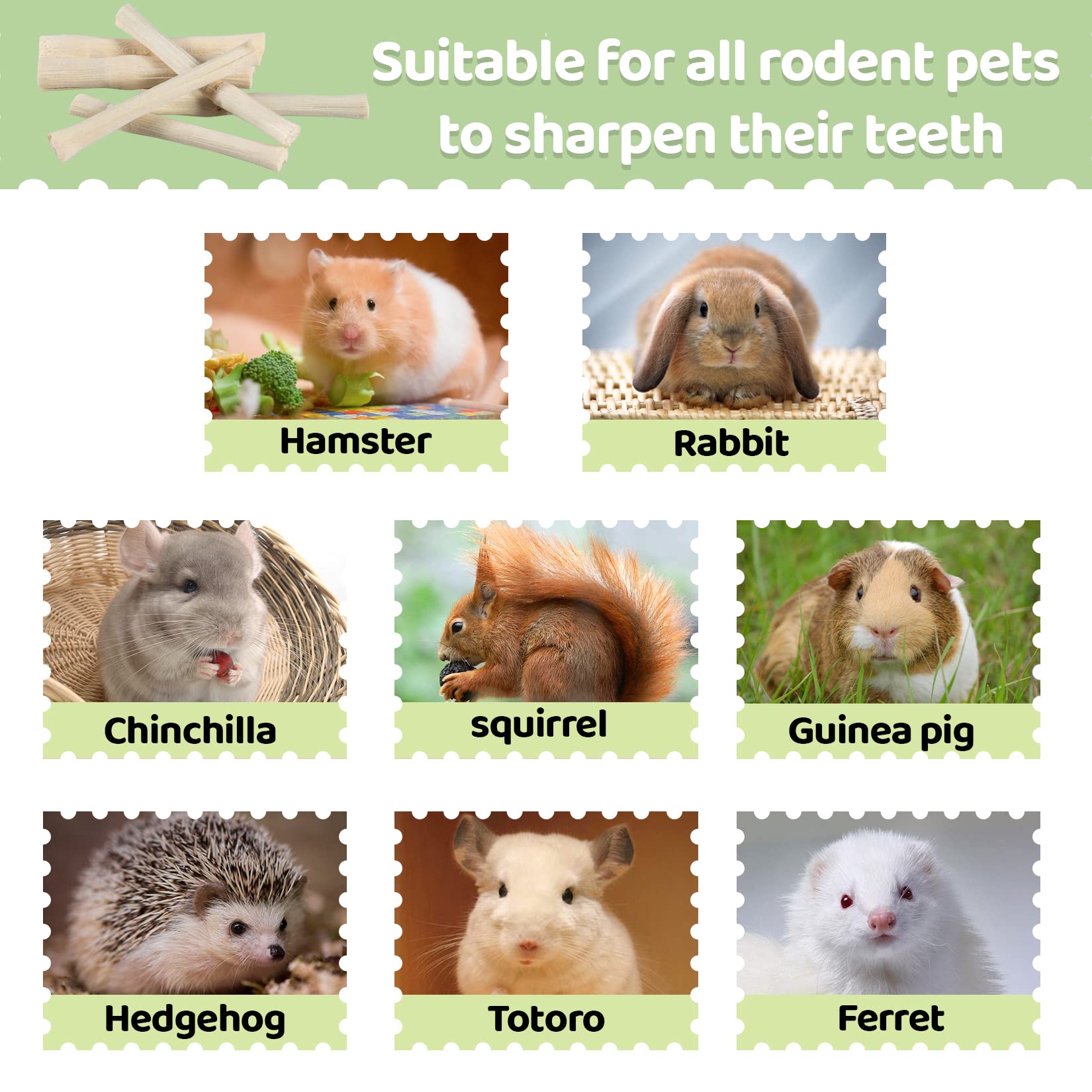 Natural Bamboo Chew Sticks for Rabbits, Guinea Pigs & Small Pets - 320 Count Organic Teeth Grinding Toys for Dental Health | Safe Molar Treats for Hamsters, Squirrels & Bunnies | Perfect for Cage Enrichment & Chewing Needs
