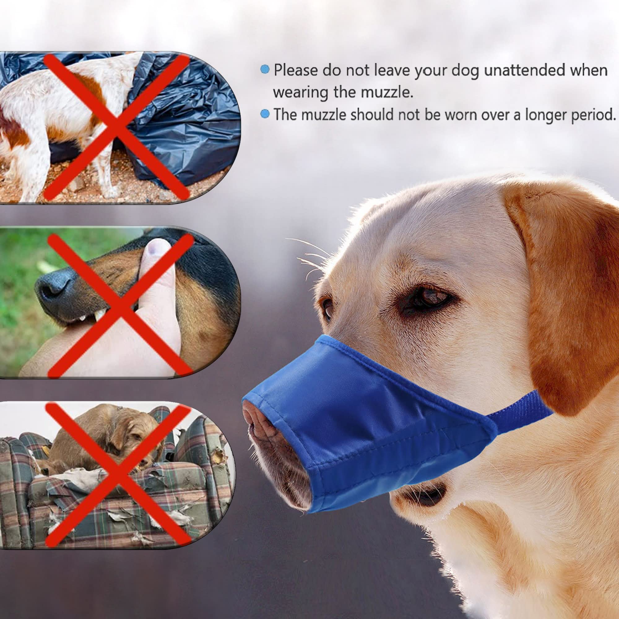 **Parts Express Soft Anti-Biting Barking Chewing Muzzle for Small & Medium Dogs - Breathable, Waterproof, Adjustable Dog Muzzle (Blue, Size S) - Perfect for Training, Grooming & Vet Visits**