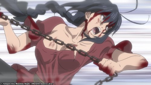 The Book of Bantorra: Complete Anime Series Collection - Perfect for Fantasy Lovers & Anime Enthusiasts