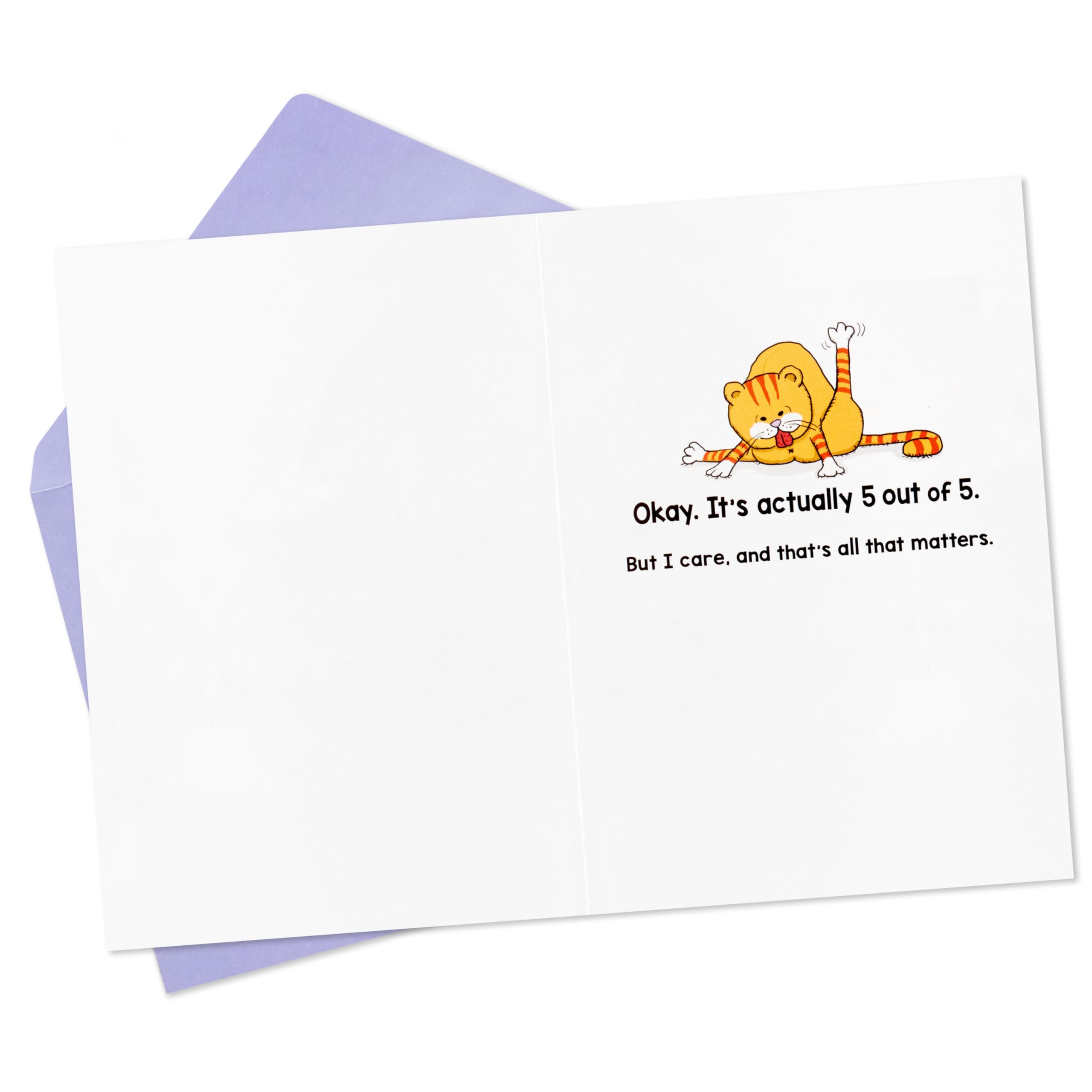 Hallmark Shoebox Funny Birthday Card - Cats Don't Care Humorous Cat Lover Greeting Card | Perfect for Cat Owners, Animal Lovers & Birthday Gifts