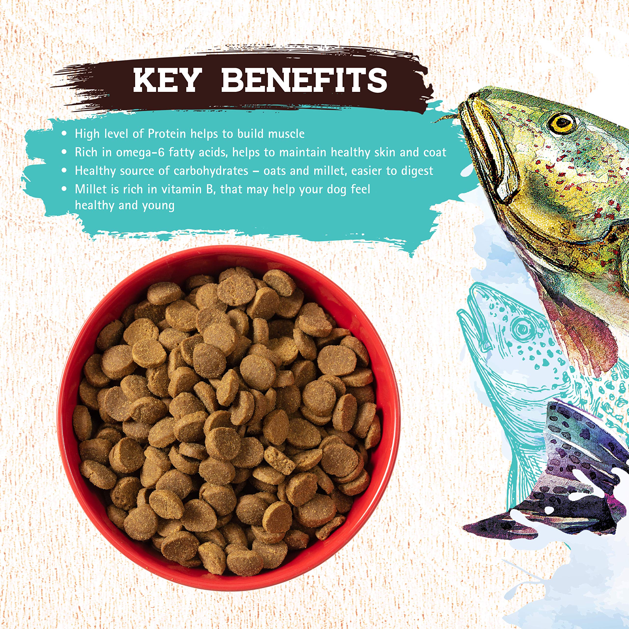 Inception® Dry Dog Food Fish Recipe - Grain-Free, High Protein, Legume-Free Complete & Balanced Dog Food for All Life Stages - 13.5 lb Bag - Perfect for Active Dogs & Sensitive Stomachs