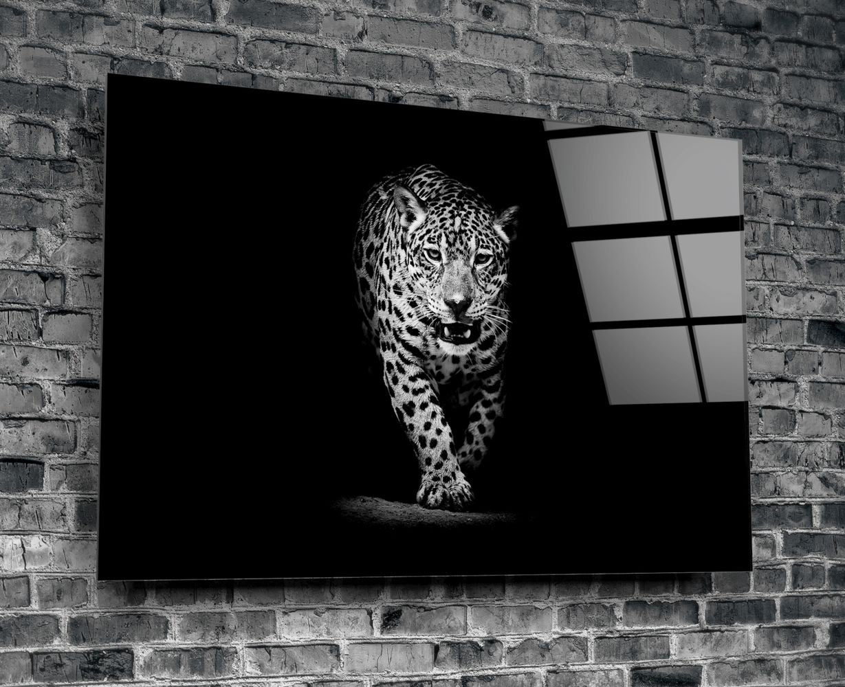 Leopard Print Black & White Scarf - Stylish Fashion Accessory for Women | Perfect for Casual Outfits, Parties & Everyday Wear