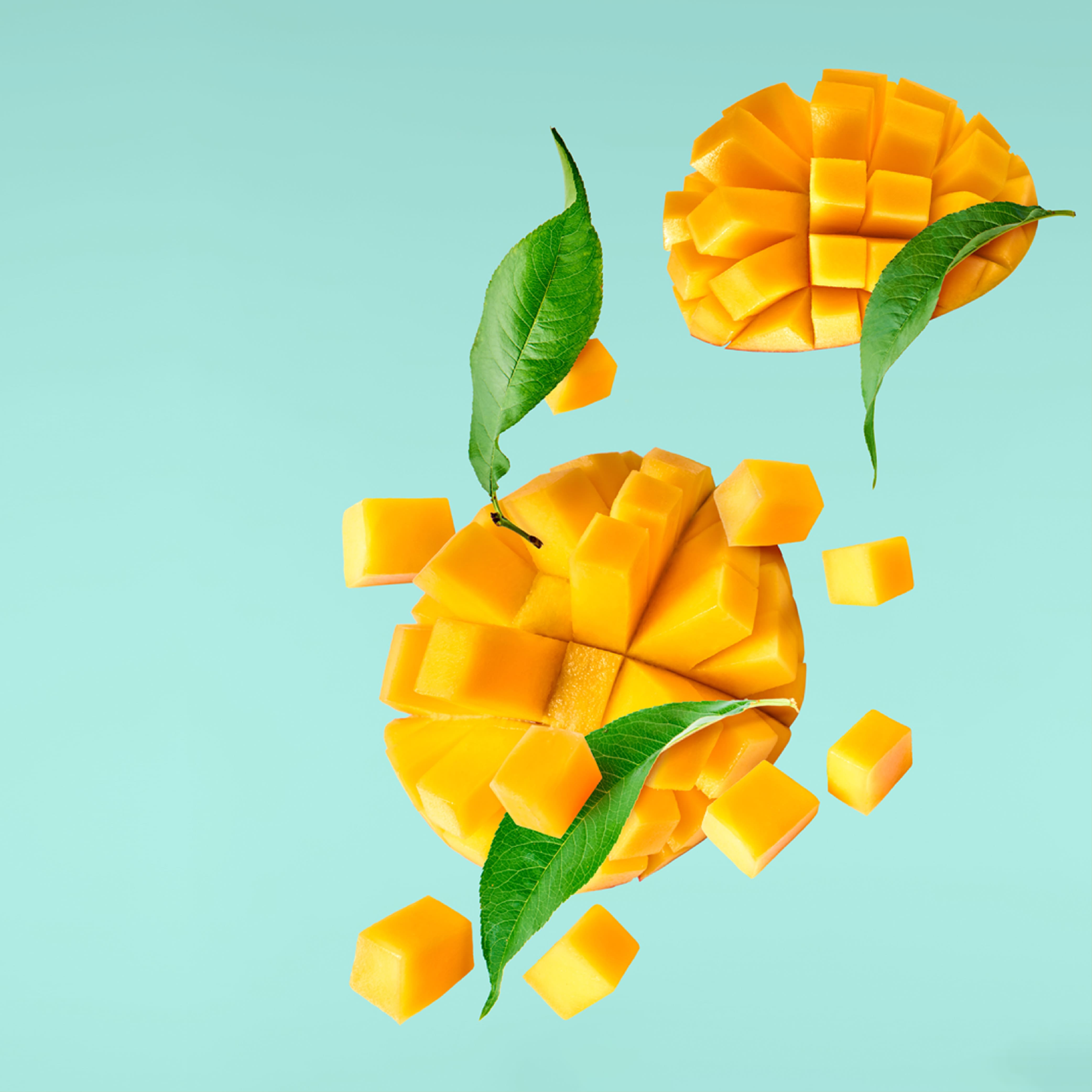 NO. 1102 Bali Mango Fragrance Oil for Cold Air Diffusers - Inspired by Bath & Body Works | Perfect for Home, Office & Spa Aromatherapy