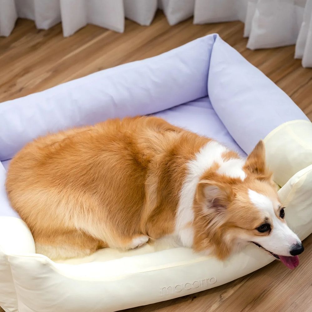 Premium Cooling Latex Pet Bed - Breathable & Comfortable for Dogs & Cats - Perfect for Hot Weather & Indoor Use