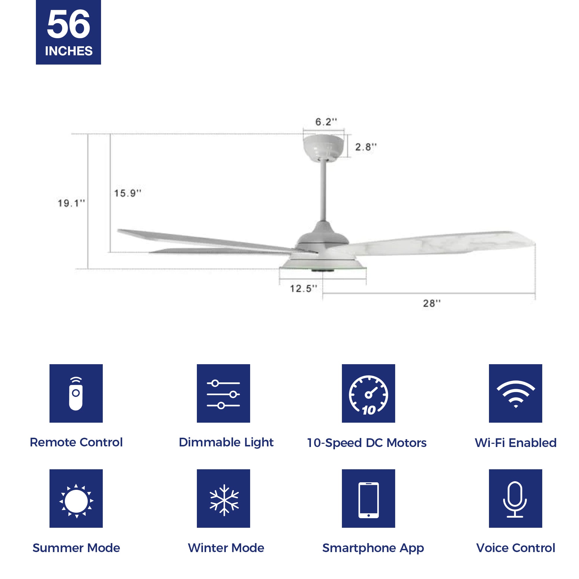 Striker 56