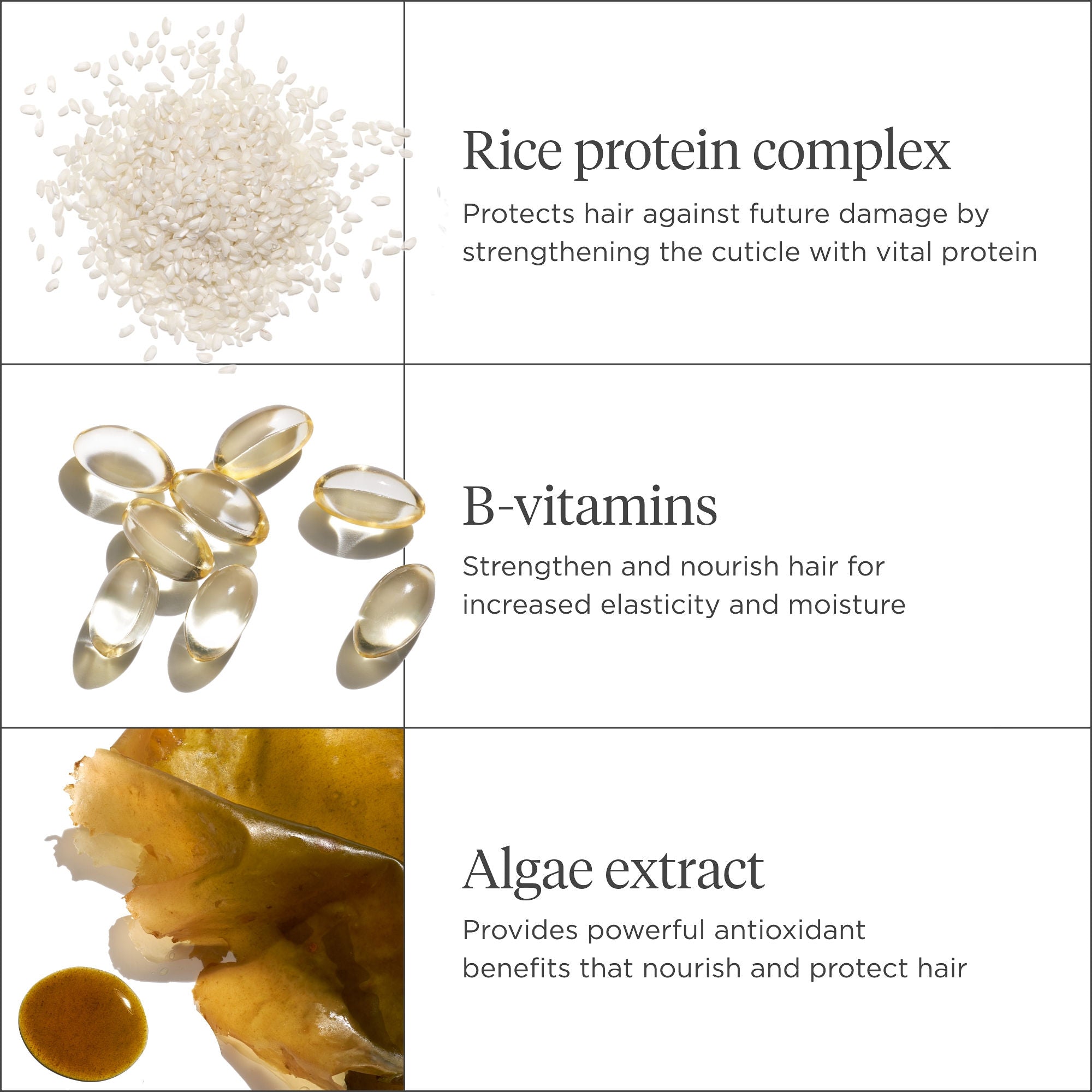 Rice Water Protein Hair Treatment for Repair & Moisture – Strengthens & Nourishes Damaged Hair – Perfect for Dry, Brittle Hair & Split Ends Repair