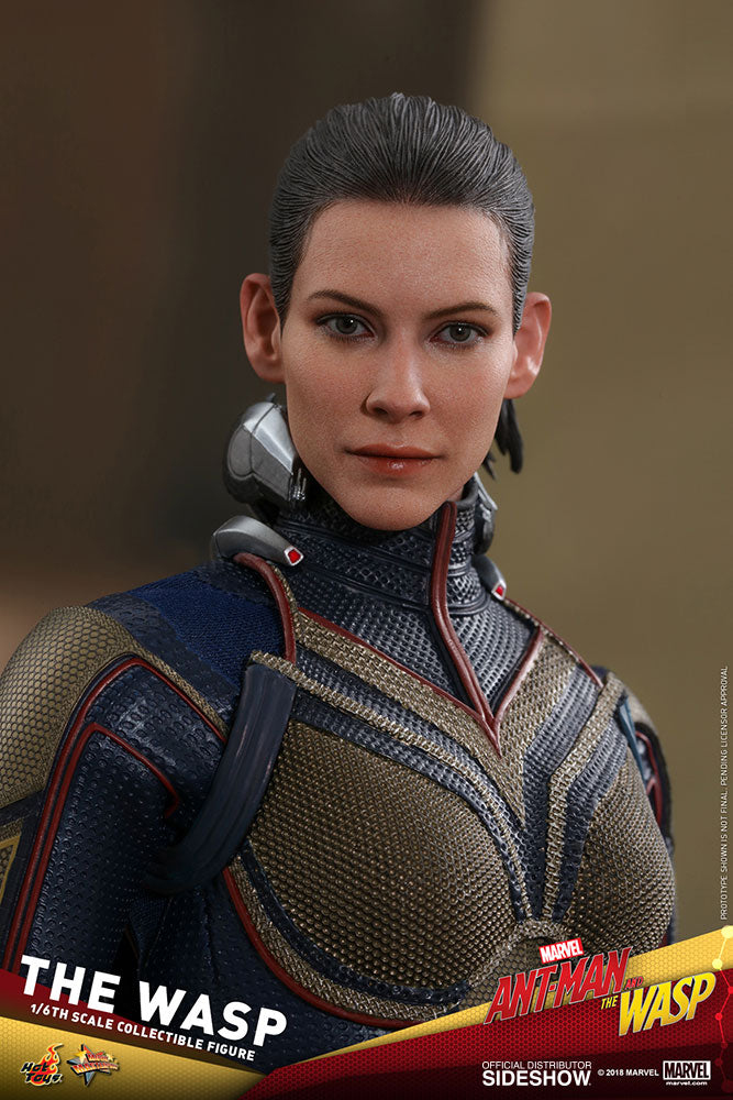 Hot Toys Marvel Ant-Man and The Wasp 1/6 Scale Collectible Action Figure - Perfect for Marvel Fans, Display, and Comic Book Collections