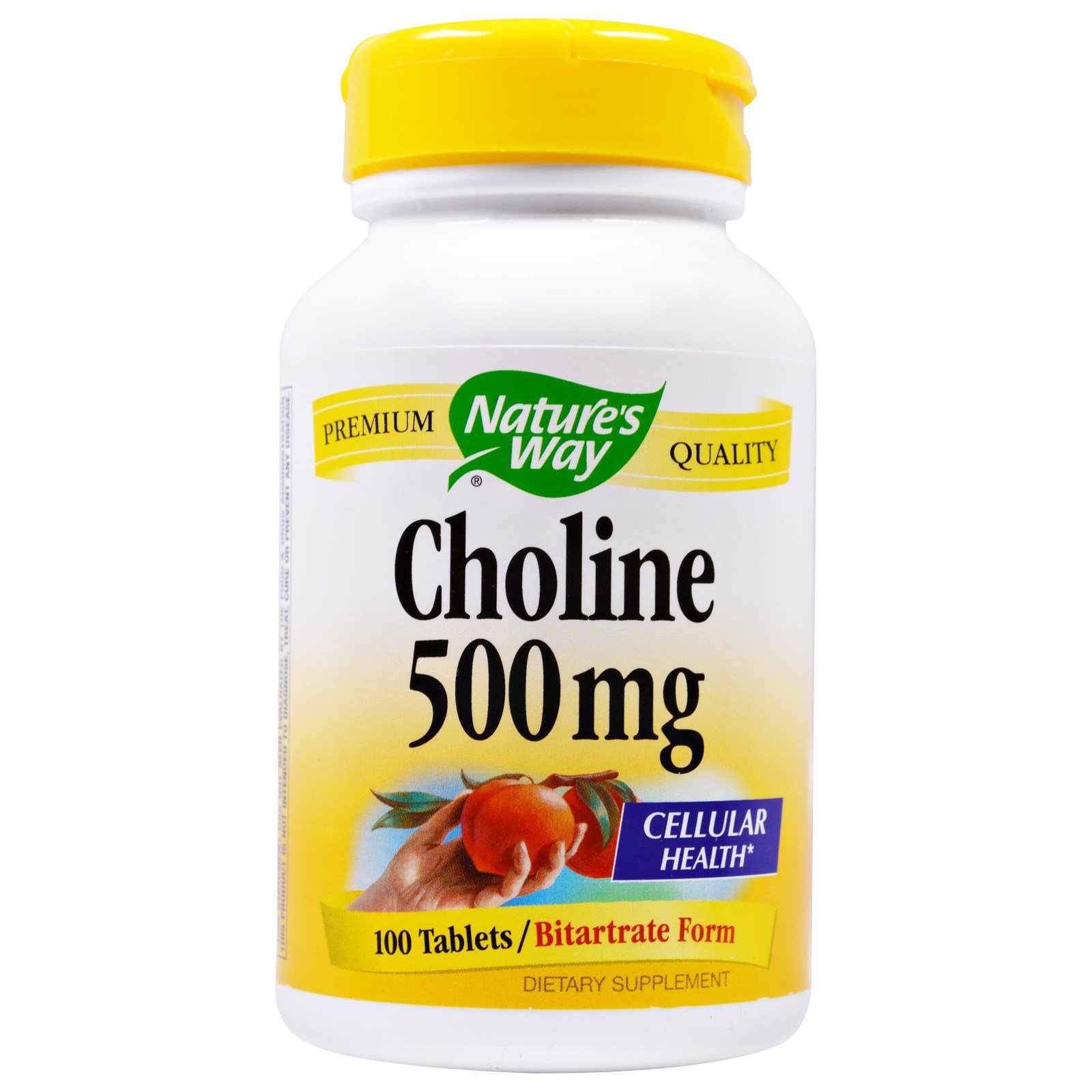 Nature's Way Choline 100 Tablets - Supports Brain Health & Liver Function - Ideal for Cognitive Enhancement & Detox Support