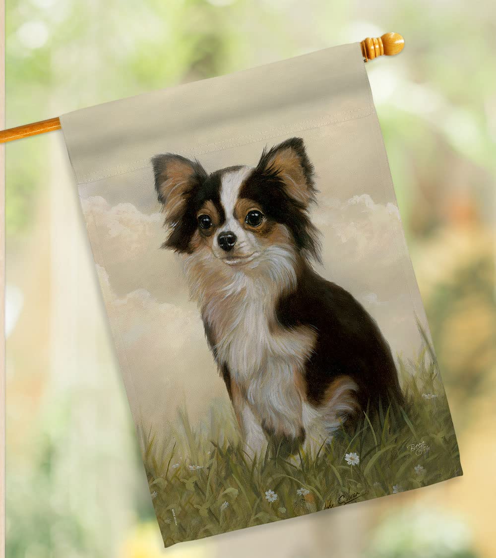 Chihuahua Pet House Flag Set - 28