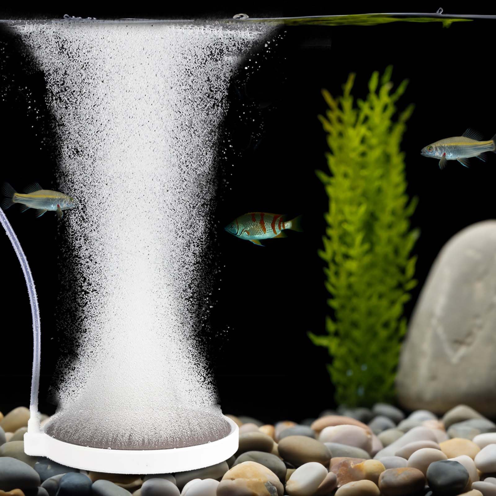 4 Inch Aquarium Air Stone Bubbler - Ultra Quiet Oxygen Diffuser for Fish Tanks (35-100 Gallon) | Creates Super Fine Bubbles | Ideal for Freshwater/Saltwater Aquariums & Hydroponic Systems | Perfect for Betta Tanks, Shrimp Habitats & Plant Growth