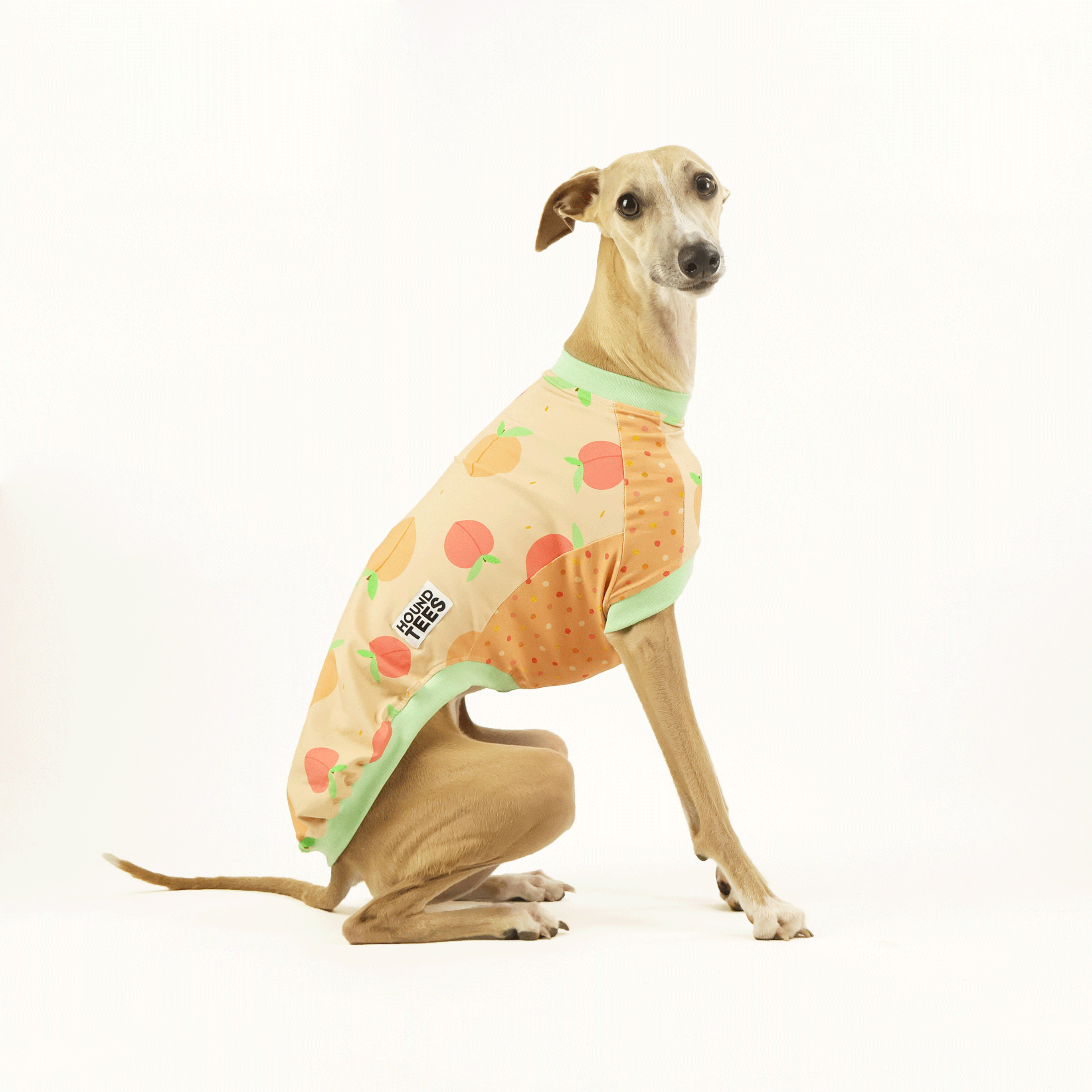 Peaches Whippet Sleeveless Hound T-Shirt - Cute Dog Lover Apparel for Summer & Casual Wear