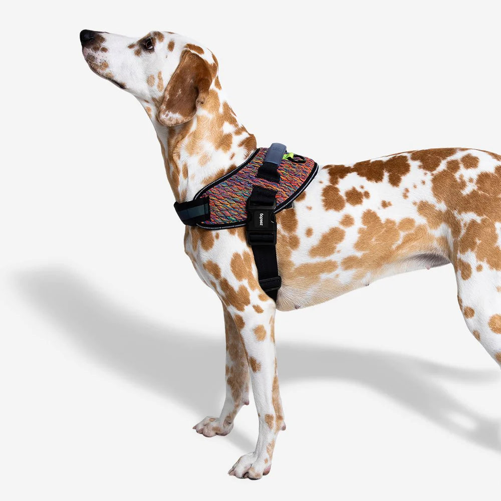 Vortex Dog Harness - Adjustable & Breathable Pet Harness for Small, Medium & Large Dogs - Perfect for Walking, Running & Outdoor Adventures - FlyHarness by Zee.Dog