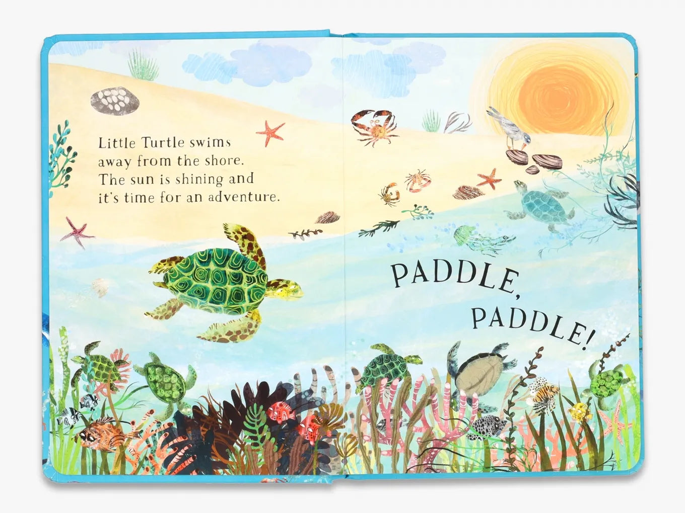 Little Turtle's Book of the Blue - The Big Book Series | Ocean Adventure Storybook for Kids | Perfect for Bedtime Reading & Classroom Learning