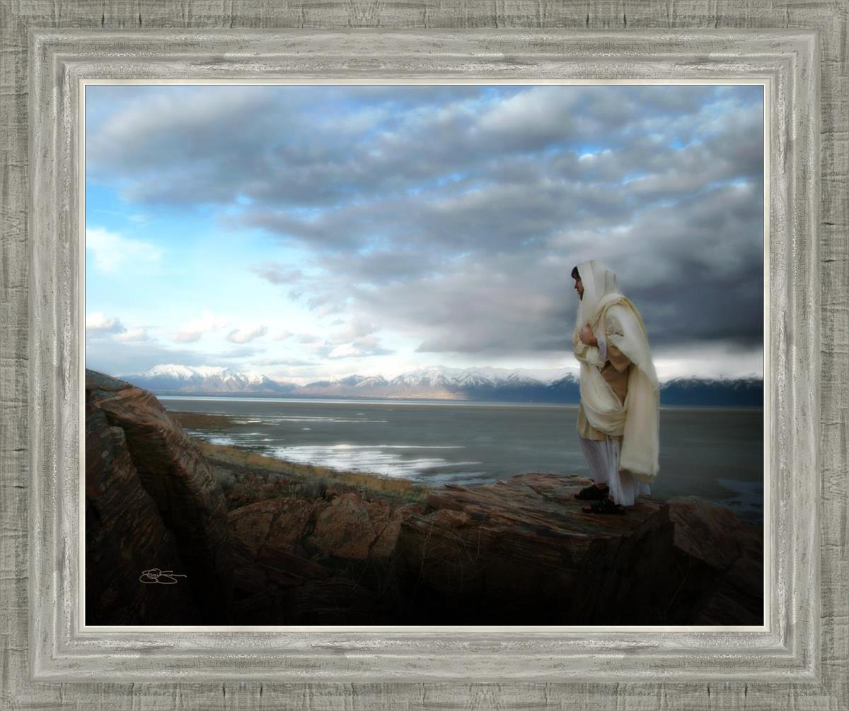 Alone Shepherd Book by Scott Sumner - Inspirational Christian Fiction for Personal Growth & Faith Journey | Perfect for Book Clubs, Bible Study Groups & Quiet Reflection Time