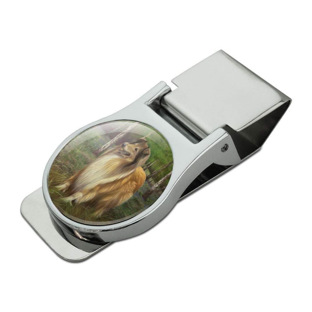 Collie Dog in the Woods Satin Chrome Plated Metal Money Clip - Elegant Gift for Men, Perfect for Cash & Credit Cards - Ideal for Weddings, Graduations & Business Events
