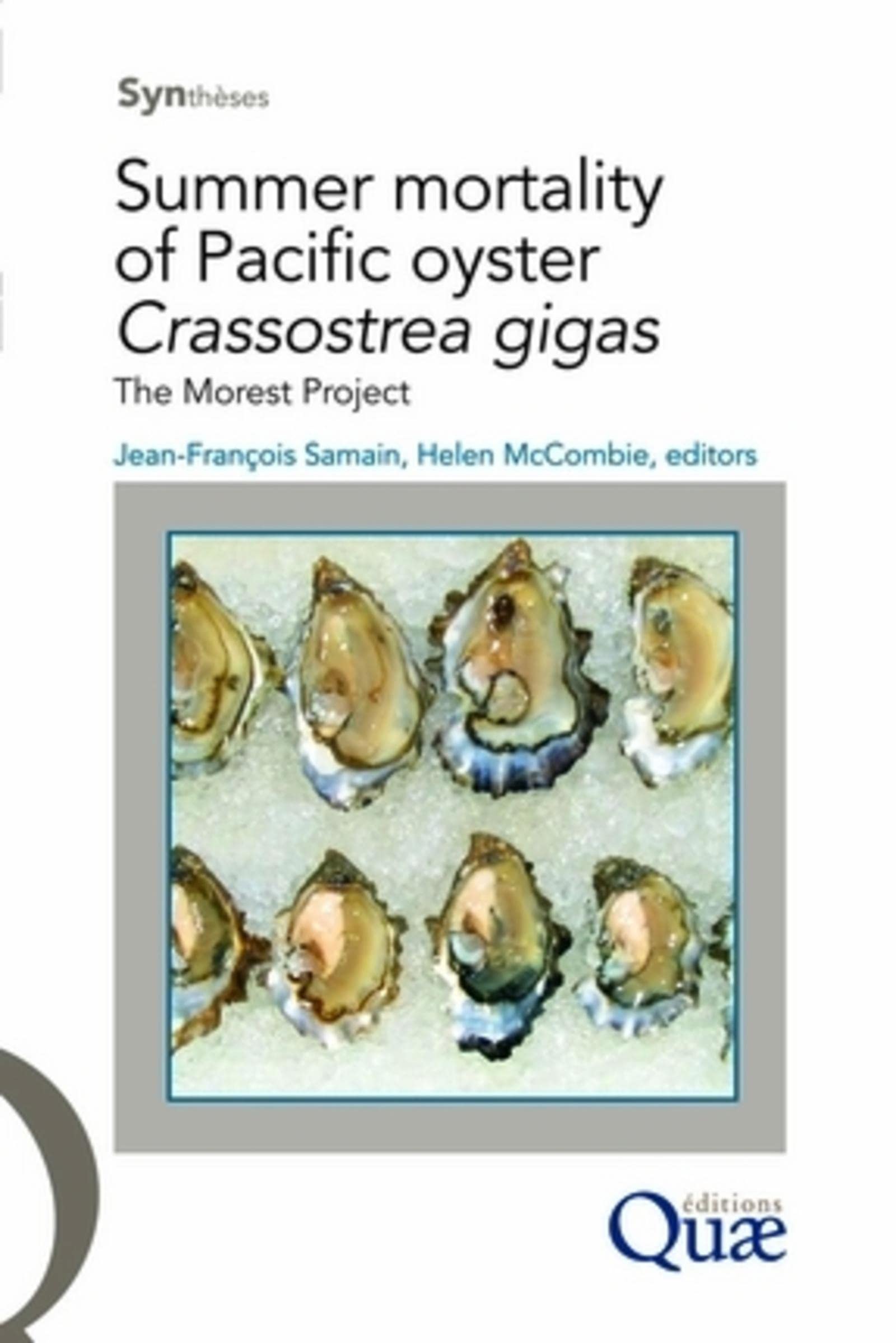 Pacific Oyster Crassotrea Gigas Summer Mortality Study - The MOREST Project | Research on Oyster Health & Aquaculture Impact | Ideal for Marine Biologists & Seafood Farmers