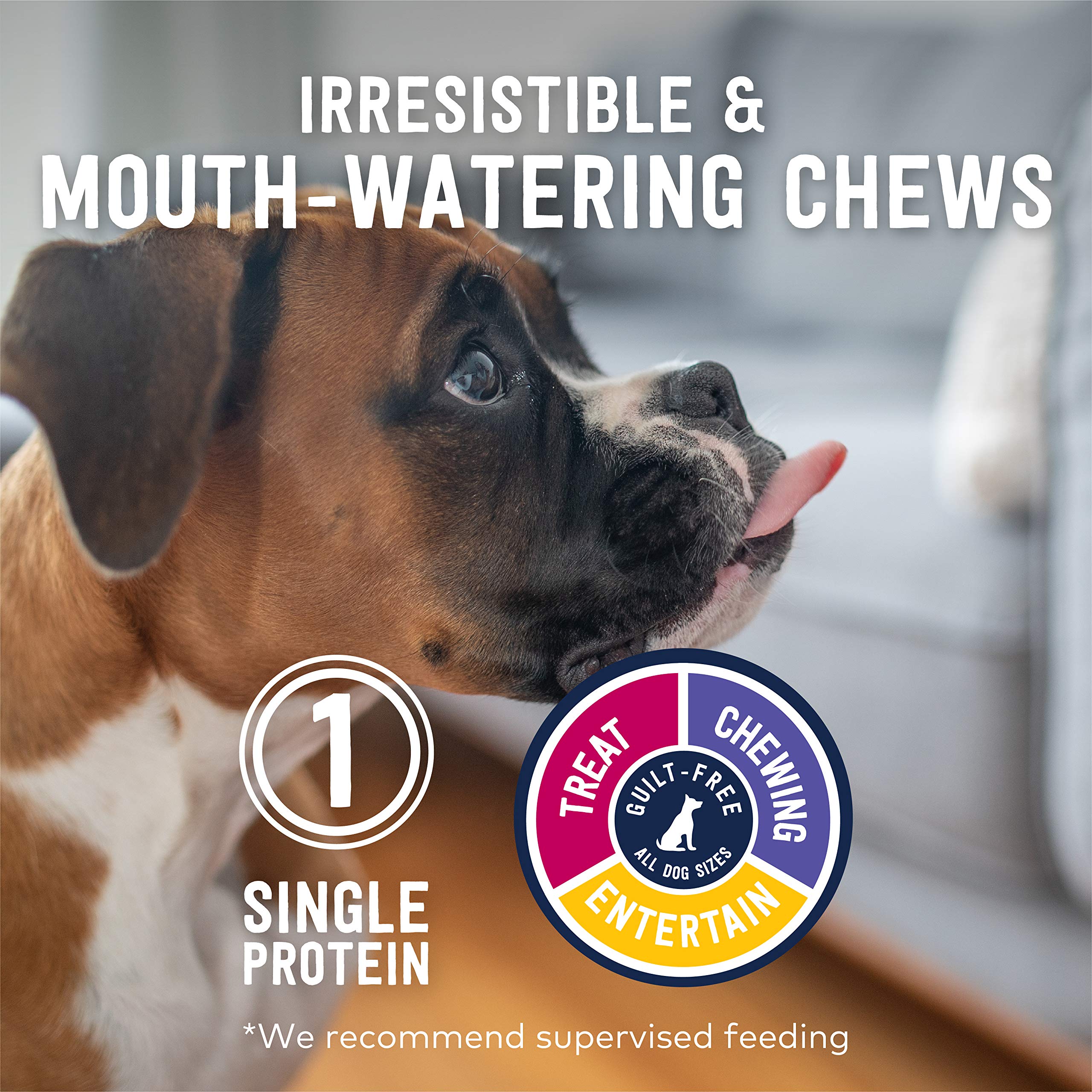 ZIWI Premium Air-Dried Lamb Trachea Dog Treats - All Natural, Grain-Free, Single Protein, High-Value Training Rewards & Chews for Dogs - 2.1oz Pack - Perfect for Training, Dental Health & Anxious Pets