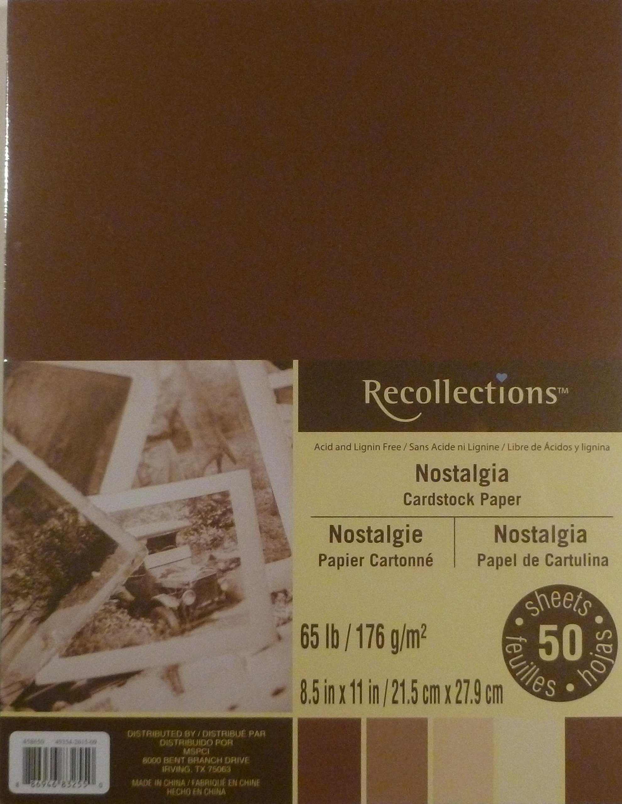 Recollections Nostalgia Cardstock Paper - 8.5