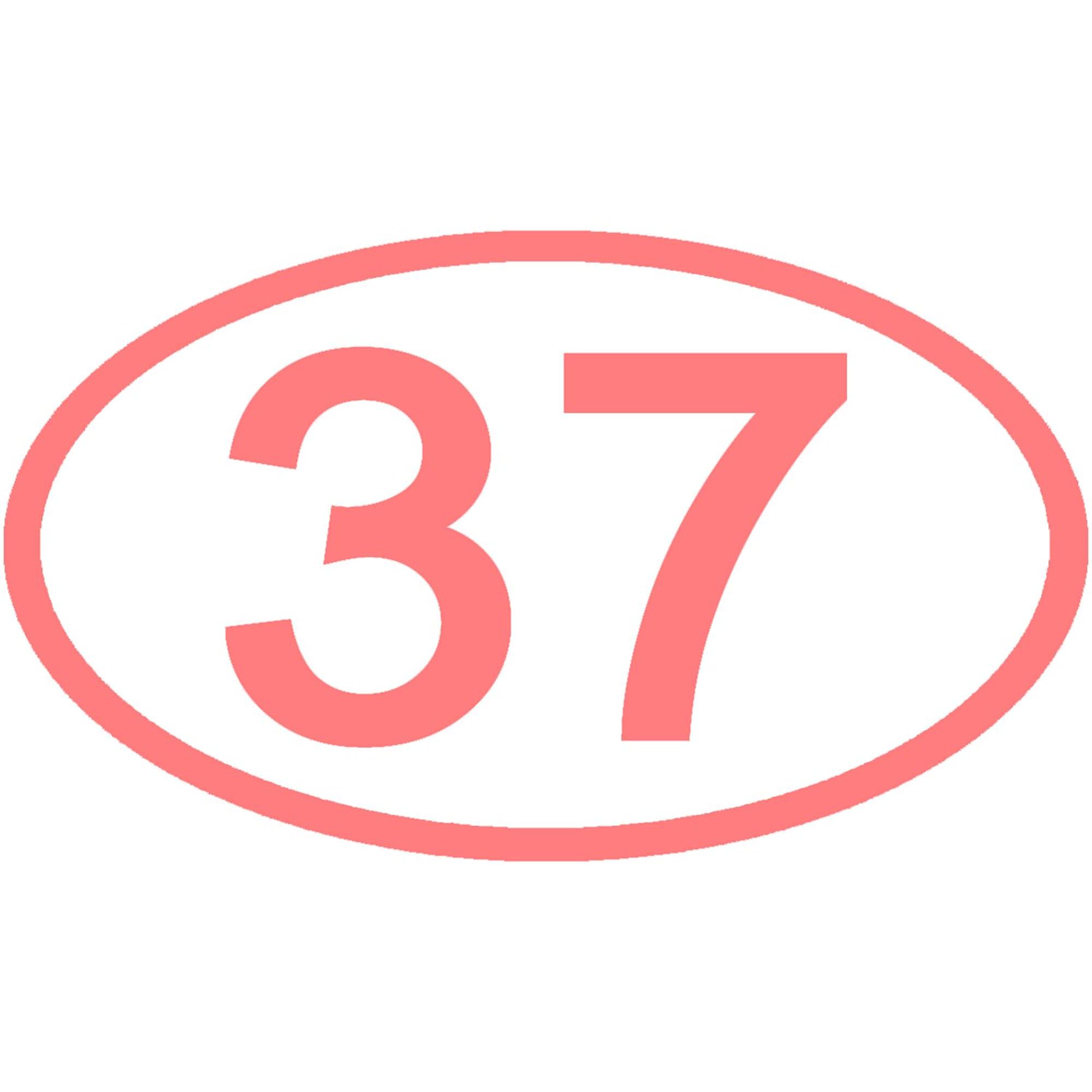 100-Pack Number 37 Oval & Rectangle Refrigerator Magnets for Office, Home & School - CafePress Bulk Magnets for Whiteboards, Lockers & Fridge Organization