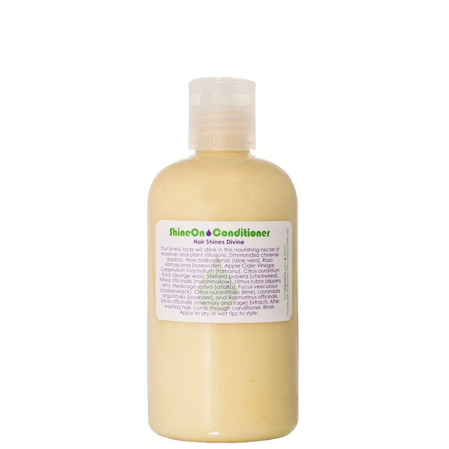 Living Libations Shine On Hair Conditioner - Organic Natural Hair Care for Shiny Smooth Hair - Perfect for Daily Use & Salon Quality Results