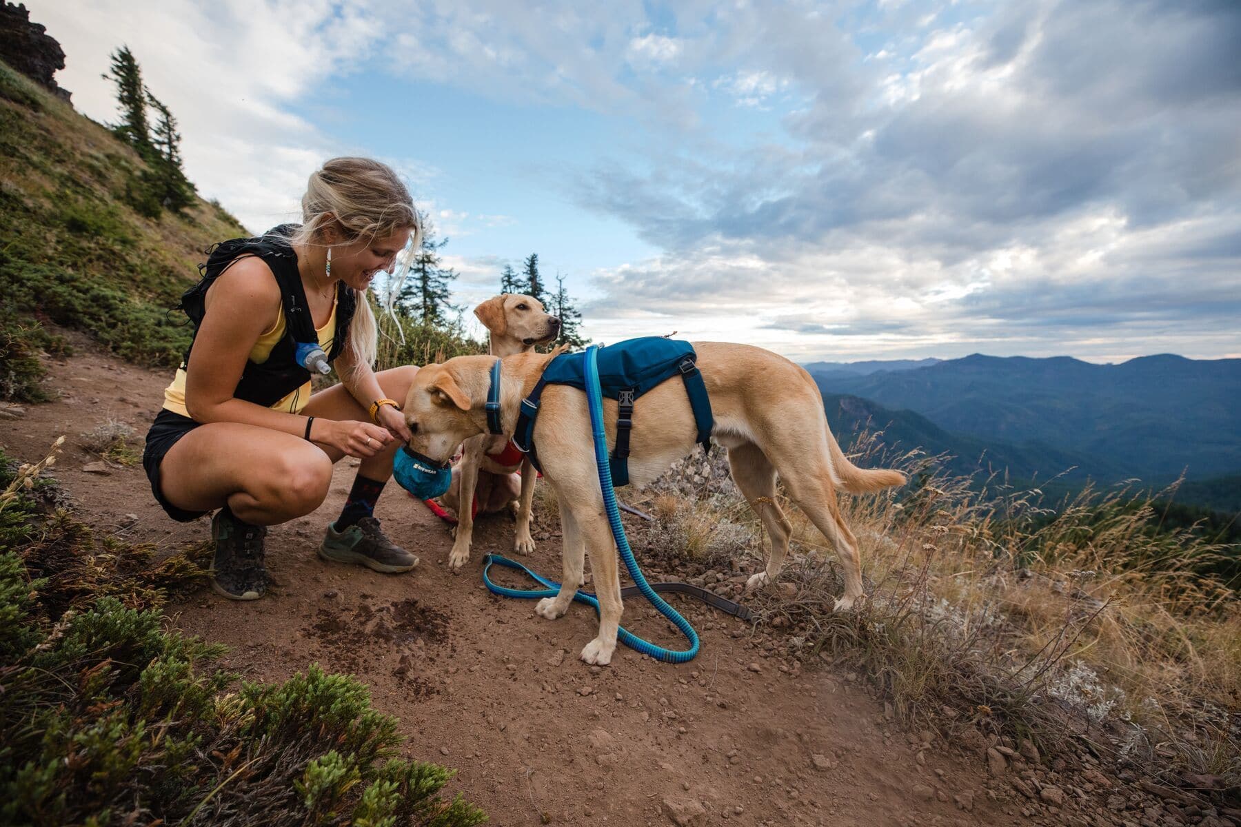 Ruffwear Minimalist Switchbak Dog Harness in Red Sumac - Lightweight & Durable for Hiking, Running & Outdoor Adventures