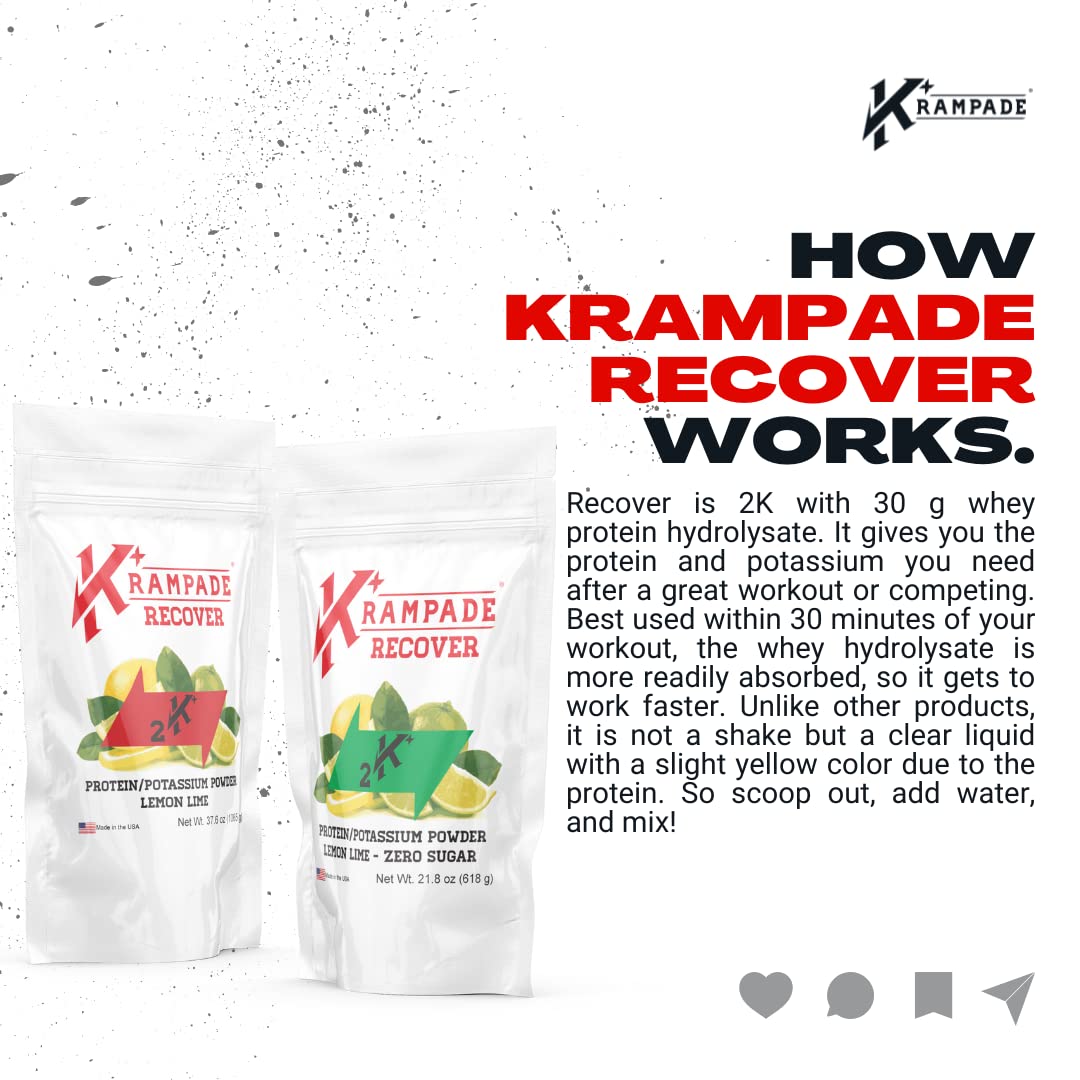 Premium Whey Protein Electrolyte Powder with 30g Protein & 7g BCAA - 2000mg Potassium + Magnesium Supplement (2X More Potassium Than Coconut Water) - Ideal for Post-Workout Recovery, Hydration & Muscle Growth