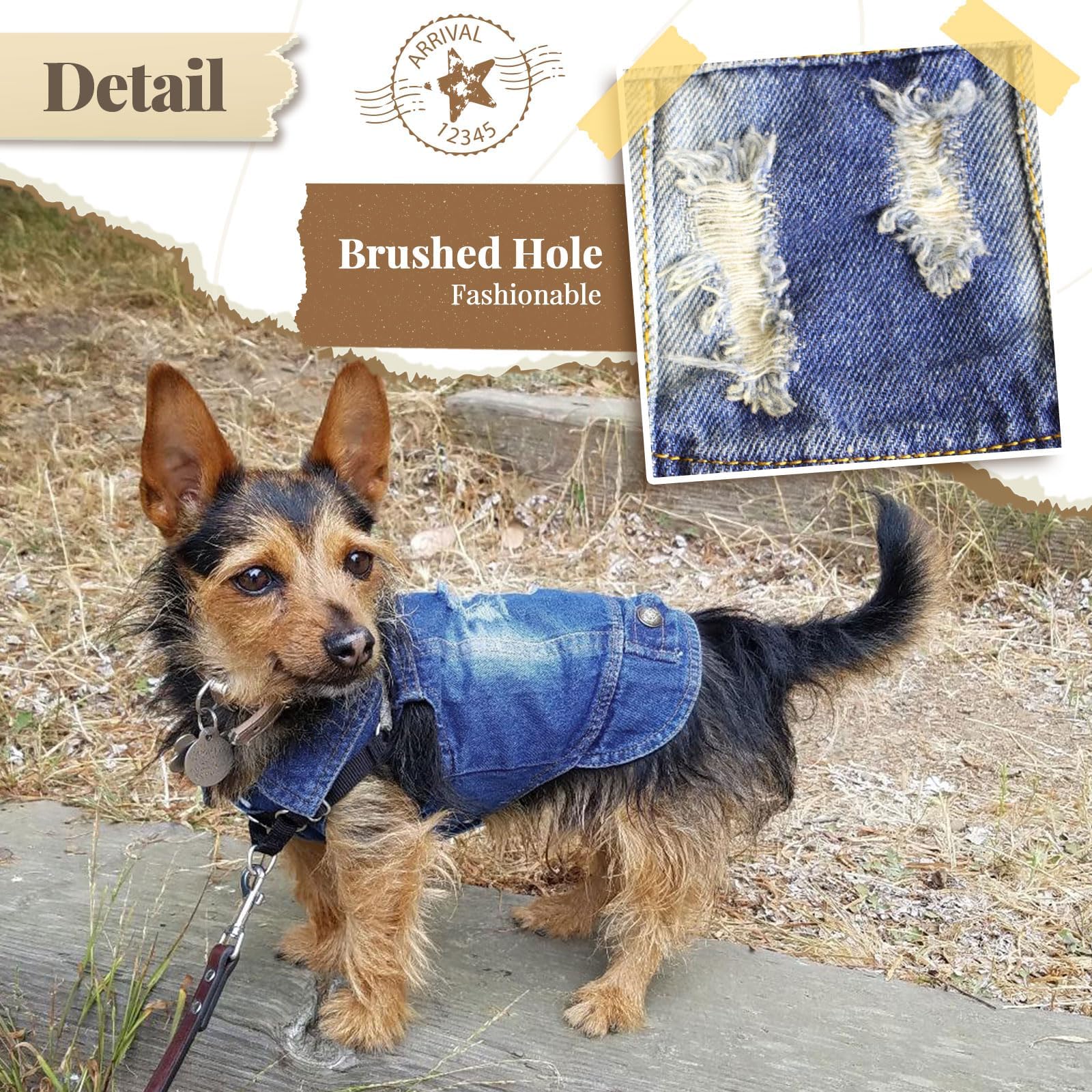 Stylish Blue Denim Dog Jacket - Small Pet Outfits for Small & Medium Dogs & Cats - Puppy Shirts, Doggy Costume Clothing for Shih Tzu, Chihuahua, Yorkie & Teacup Breeds - Perfect for Outdoor Walks, Pet Fashion & Photo Shoots