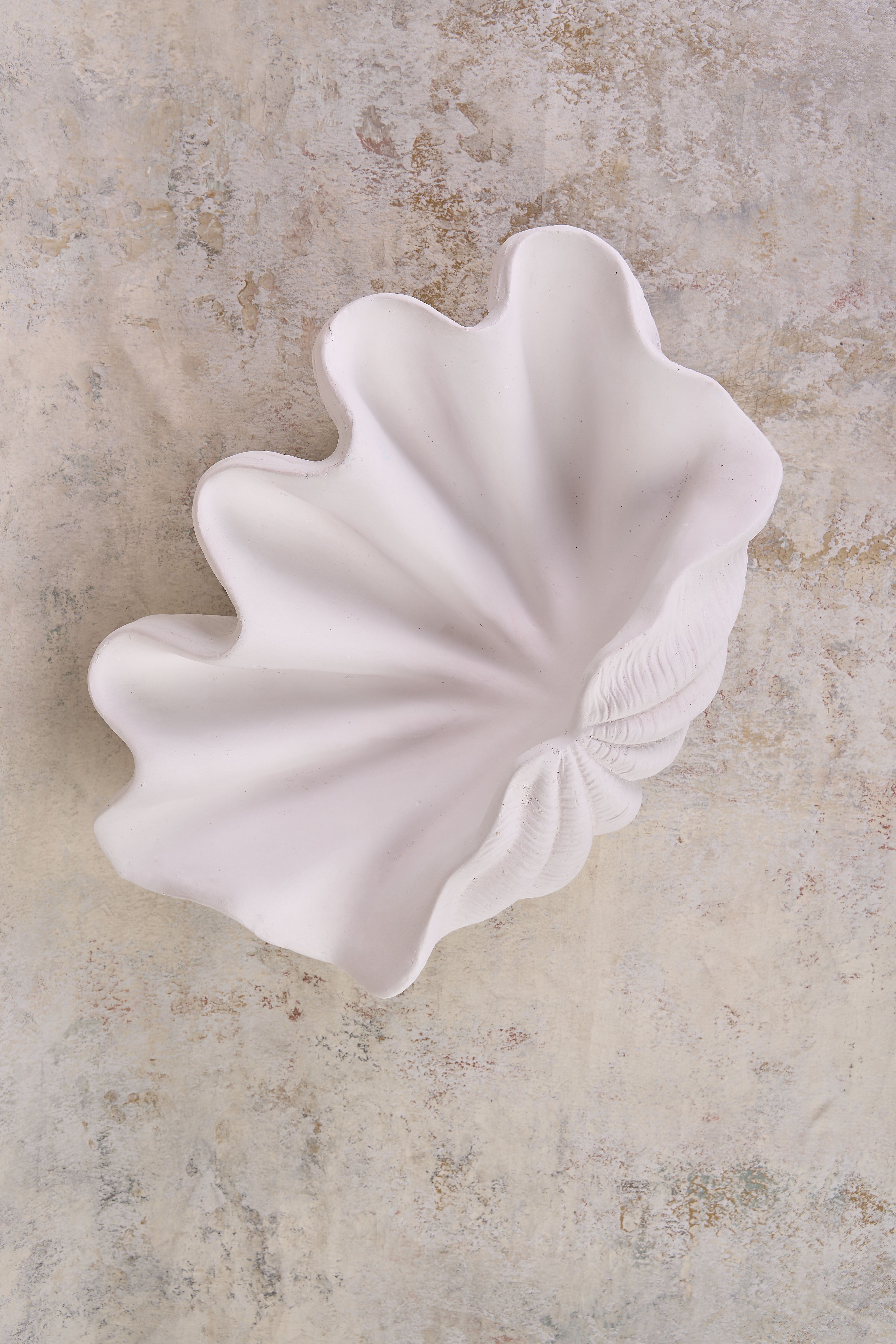Premium Clam Shell Resin Bowl - Handcrafted Decorative Serving Bowl for Fruits, Nuts & Desserts - Perfect for Beach Parties, Wedding Centerpieces & Home Decor