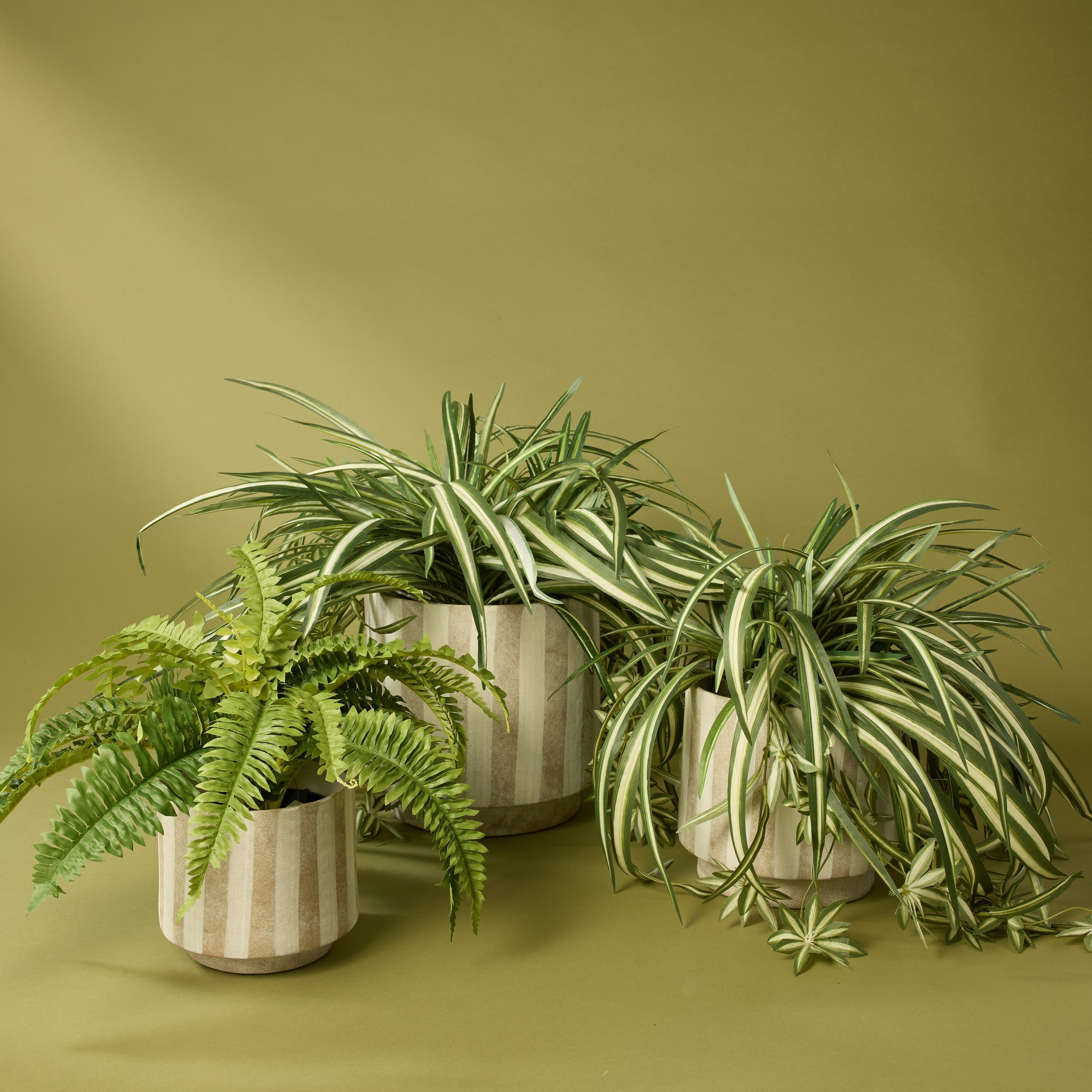 Antibes Beige Ceramic Flower Pot 15cm - Elegant Home & Garden Decor for Indoor Plants, Succulents, and Herbs