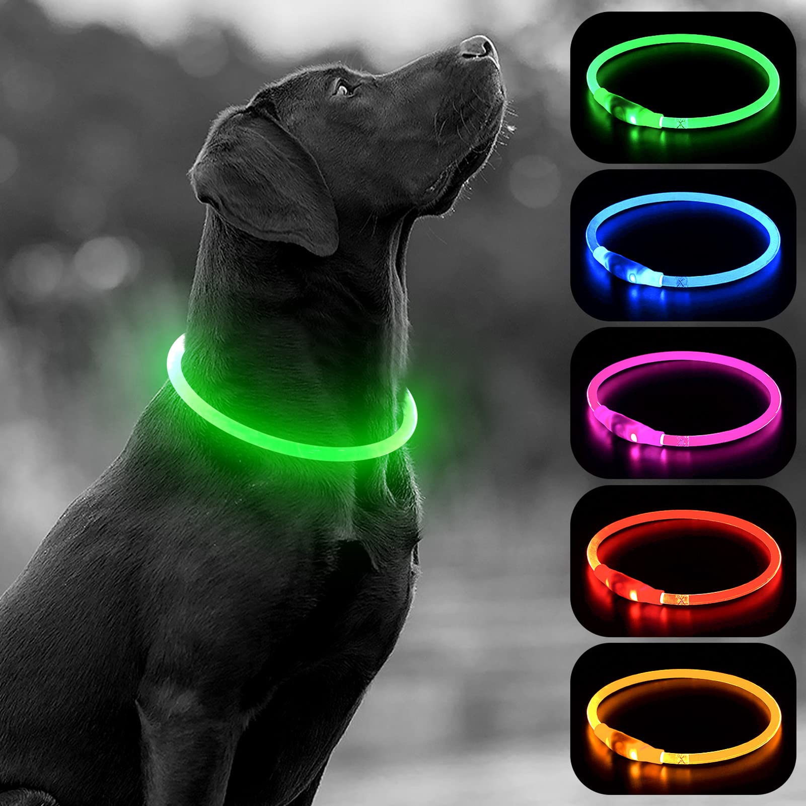 HIGO USB Rechargeable LED Dog Collar - Light Up Safety Collar for Night Walking, High Visibility Glow Collar with TPU Material for Small Medium Large Dogs (Green) - Perfect for Evening Walks, Jogging & Outdoor Adventures